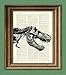 RAWR T-Rex dinosaur skeleton skull beautifully upcycled history animal dictionary page book art print