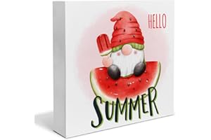 HEIJIE Watermelon Gnome Wood Box Sign Desk Decor Hello Summer Wood Block Sign Decor for Home Kitchen Shelf Wall