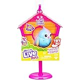 rainglow unicorn vet set target