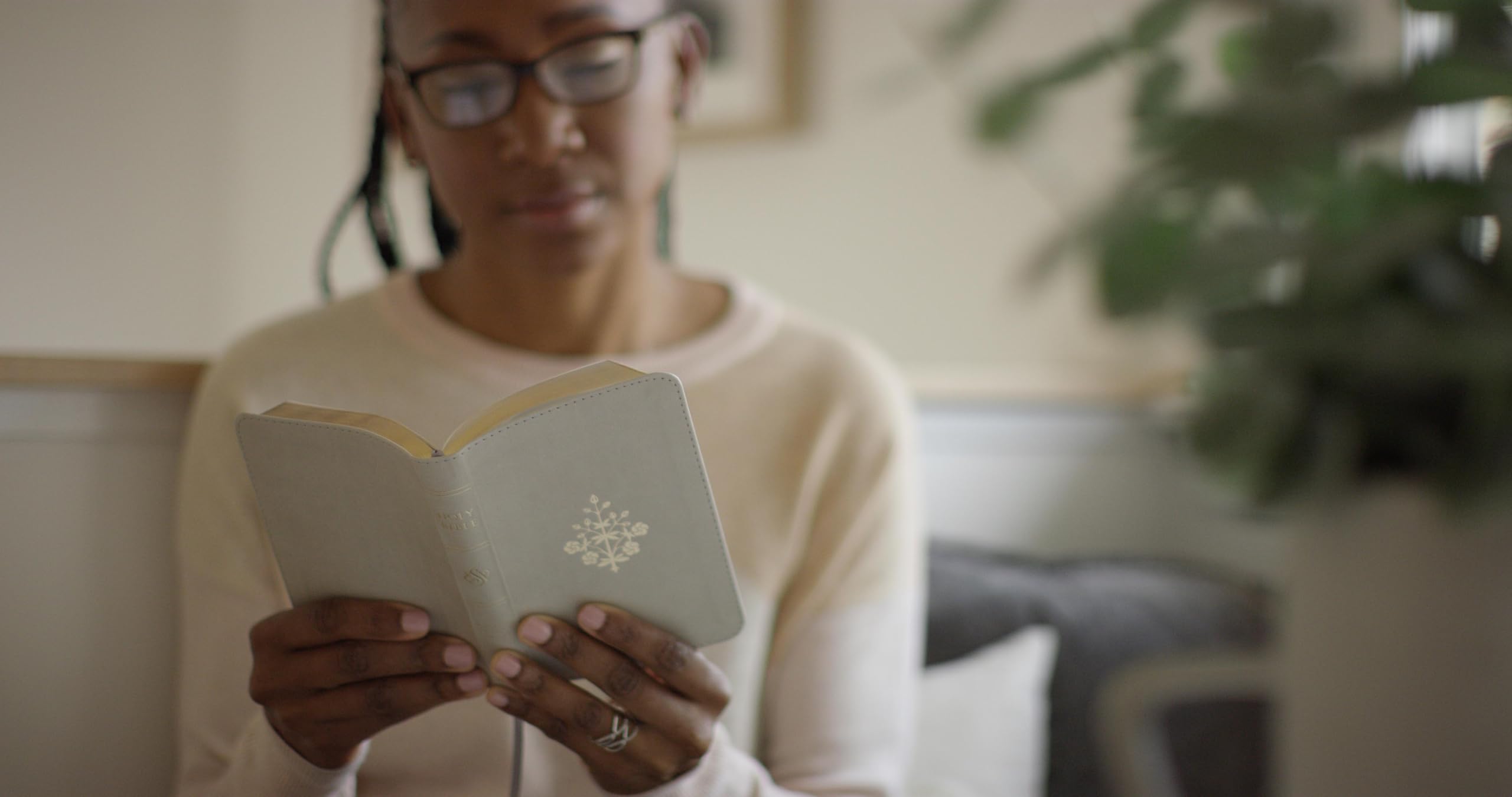 ESV Compact Bible (TruTone, Stone, Branch Design): Holy Bible, English Standard Version