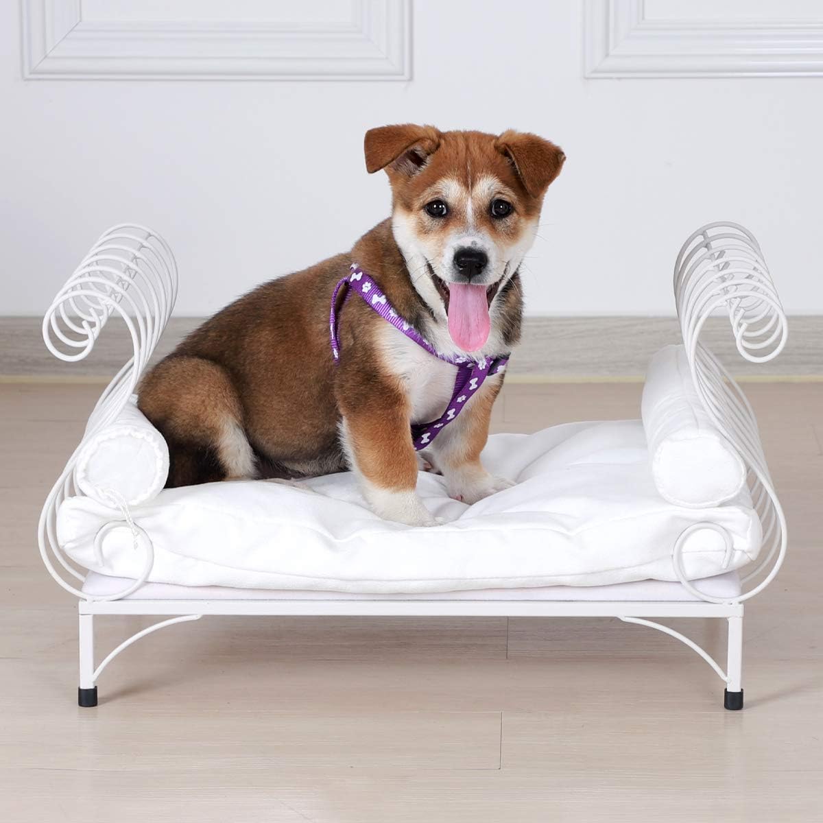 metal dog bed