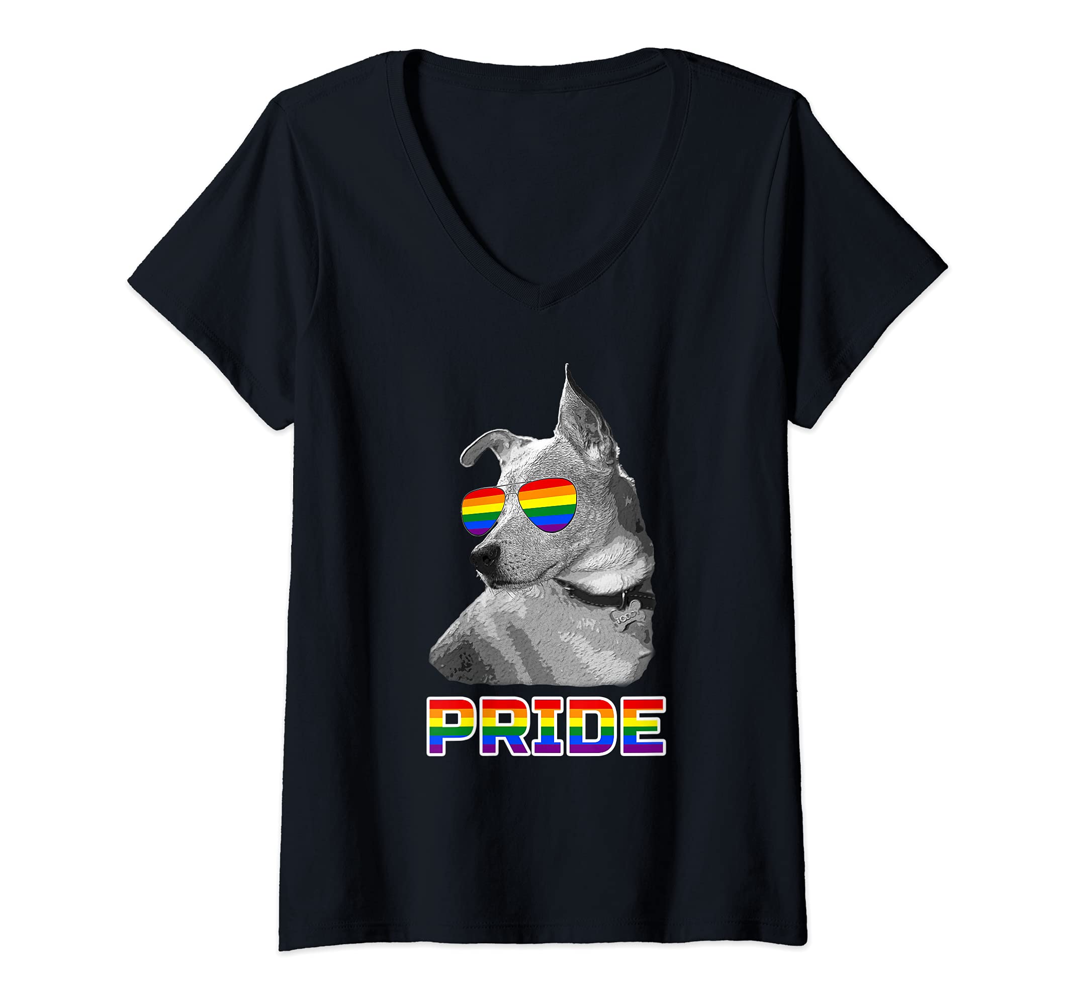 Womens Dog Pride Gay Lesbian LGBT Awareness Rainbow Flag V-Neck T-Shirt