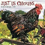 2016 Just Us Chickens Wall Calendar by