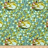 Tula Pink Chipper Fox Nap Mint Fabric by The Yard