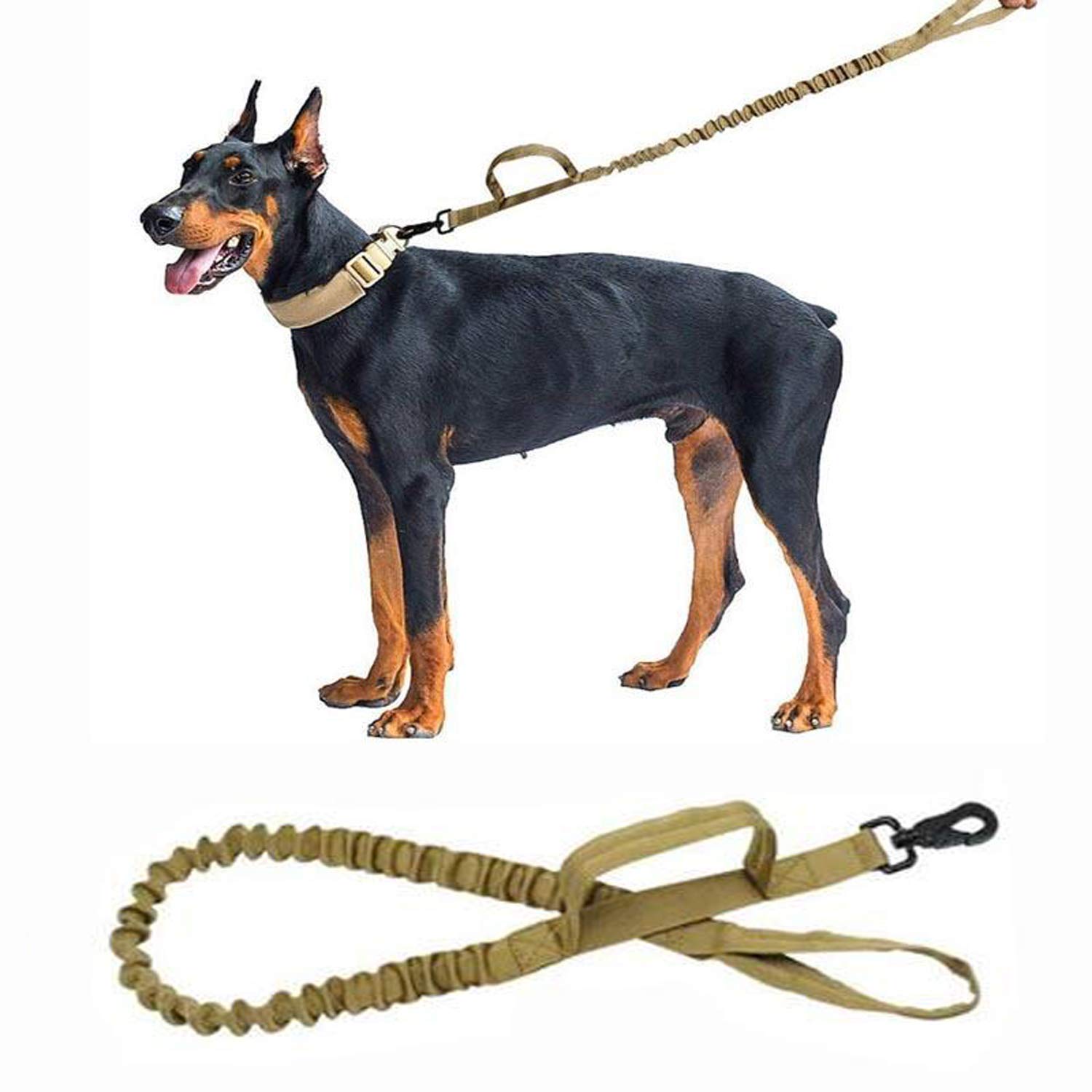 Dog Lead 1.5 m Training Lead for Dogs Dog Lead with Soft Padded Handle All Dogs up to 50 kg Adjustable Robust and Weatherproof, Coyote Brown