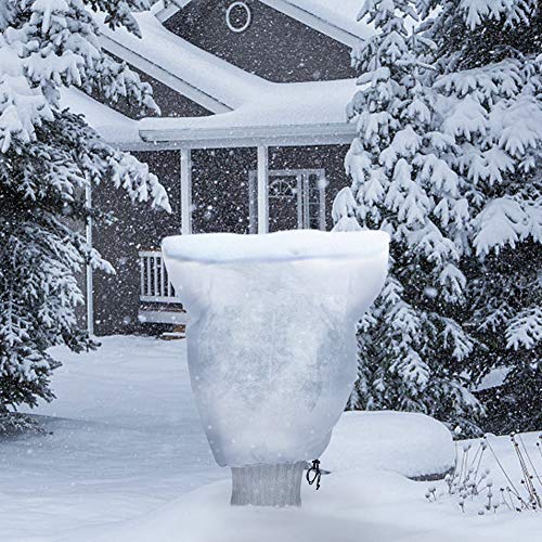 5 PHI+VILLA+Plant+Protector+Protection