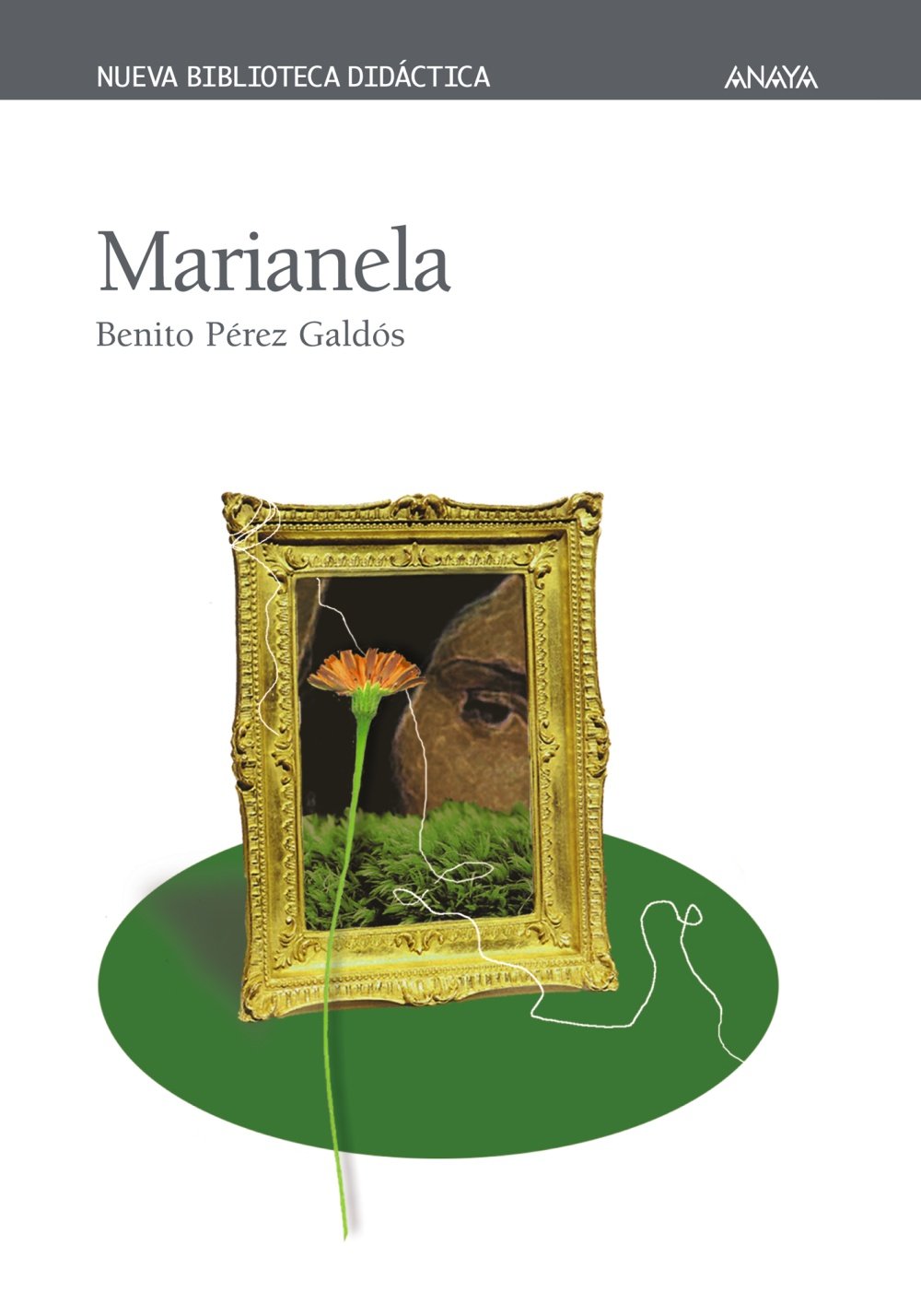 Amazon Com Marianela Clasicos Nueva Biblioteca Didactica Spanish Edition 9788466703024 Perez Galdos Benito Ponce Jose Maria Books