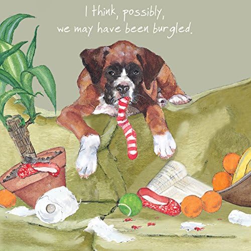 Archie the Boxer Puppy Dog BLANK Birthday Card - Burgled