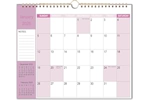 YIKAISWDZYXGS Calendar 2025, Wall Calendar from January 2025 - December 2025, 12 Months Calendar with Premium Paper, Twin-Wire Binding & Hanging Hook, 11.5" x 14.5", Colorful