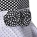 Richie House Little Big Girls' Short Sleeve Elegant Dress Size 4-12 Rh1510