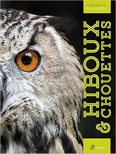 hiboux-et-chouettes-cuisin