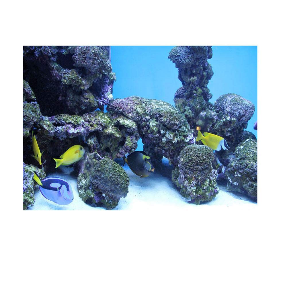 Aquarium Background Poster Underwater Coral Wall Decor PVC Sticker