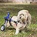Walkin' Wheels Small Dog Wheelchair, Lightweight Dog Wheelchair for Back Legs, 11-14 lbs, for 7-8 inches Leg Height - Blue