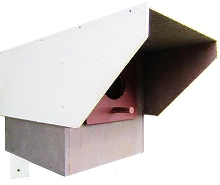 Hüwüknü, Vogelhaus, Überwachungskamera Atrappe
