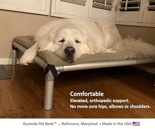 Pvc Dog Large Kuranda Dog Beds Kuranda Indoor Dog Bed Walnut PVC