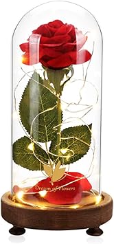 Amazon Com Dream Of Flowers Beauty And The Beast Red Rose With