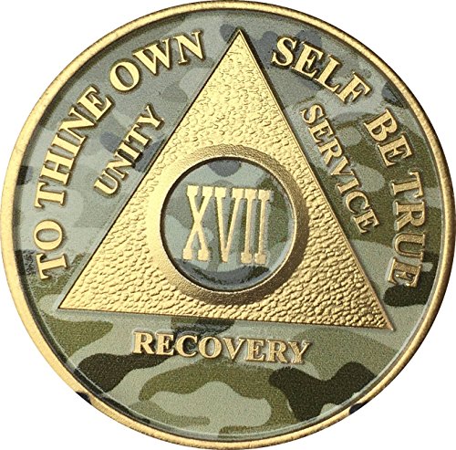 17 Year AA Medallion Camo Gold Plated Anniversary Chip Camouflage Color
