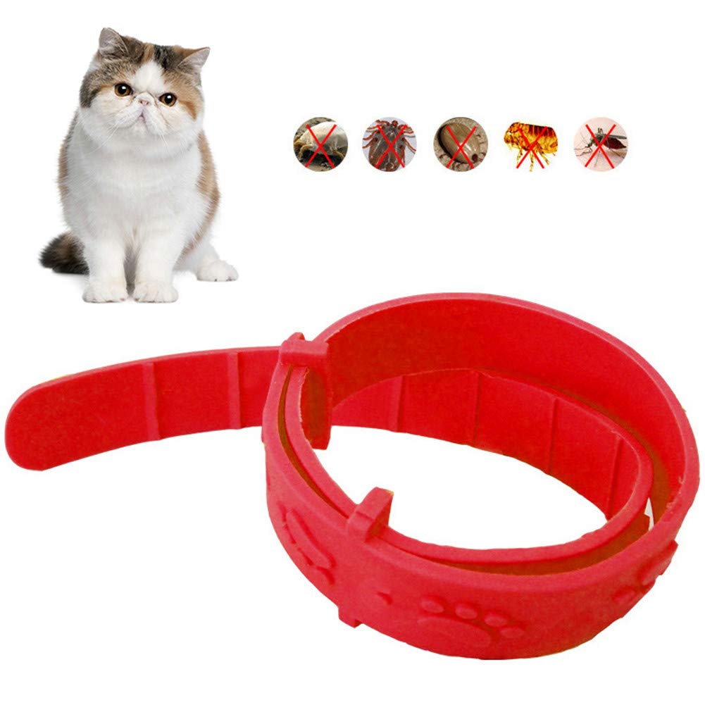 Reviews GULEHAY Cat Flea Collar, Adjustable Rubber Pet Collar, Natural