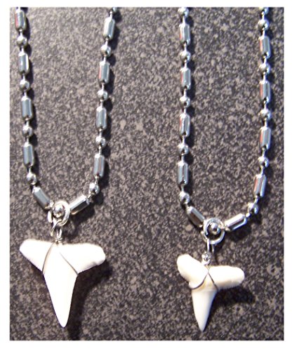 4 Pcs of Silver Stainless Steel 2.4mm Ball Chain 24 Inch Necklaces With Real Shark Tooth Pendant