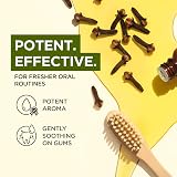 Gya Labs Clove Essential Oil 10ml - Pure Natural for Oral Care & Relaxation view 3