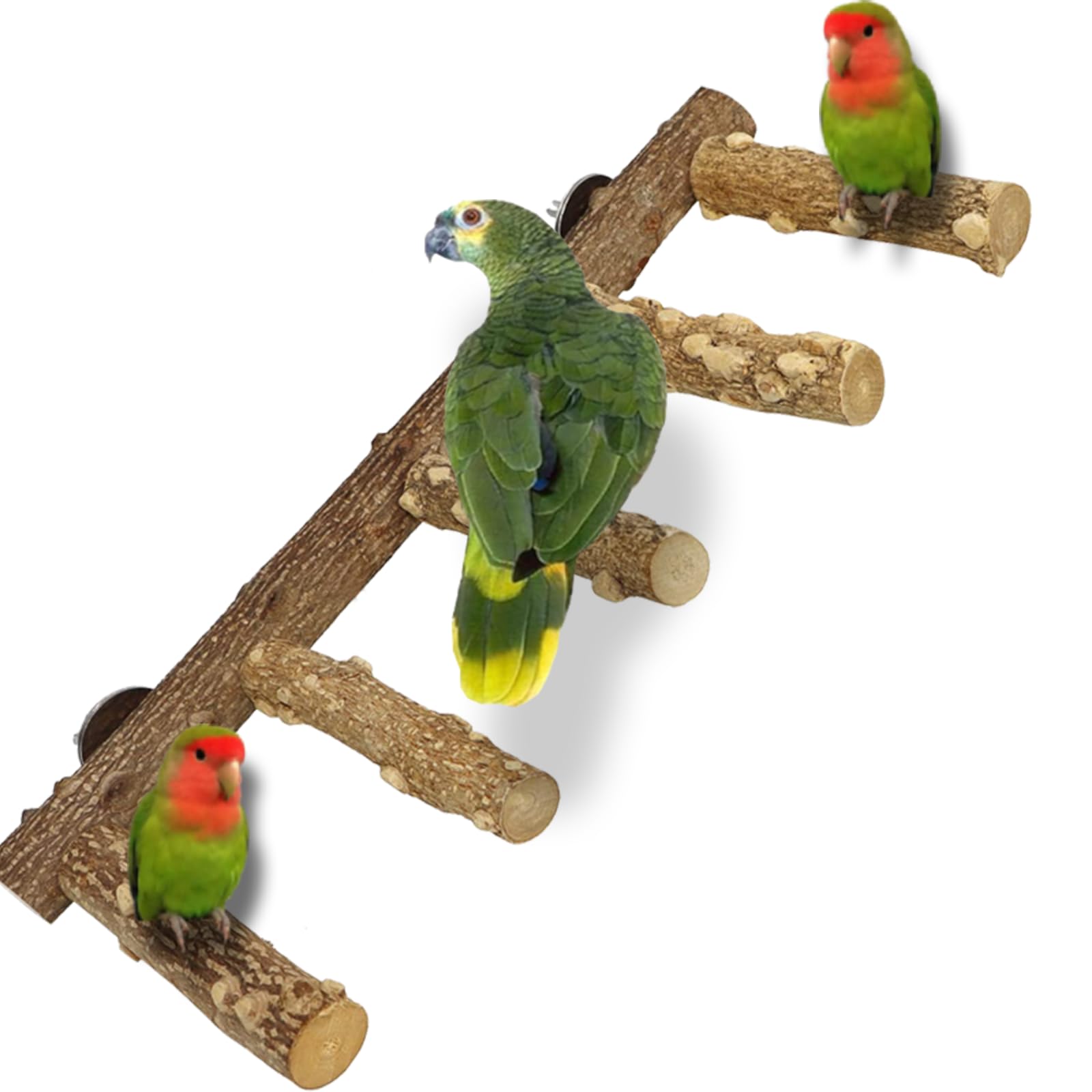 QeeHeng Parrot Perch, Nature Wood Ladder Bird Perches Budgie Toys Bird Cage Accessories for Small Medium Parrot Budgie Conures Macaws Love Birds Finches