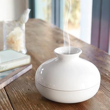 Amazon 蚊取り線香 ホルダー 蚊取り線香入れ 蚊取り線香立て スタンド 陶器 おしゃれ 白 ホワイト B01hnkwxyu 置物 オブジェ オンライン通販