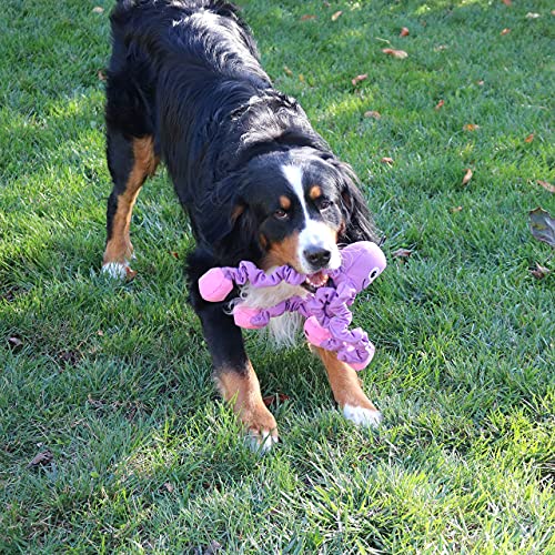 SmartPetLove Tender-Tuffs Plüschspielzeug Für Hunde – Krokodil Mit Quietscher, Für Kleine Bis Große Hunde