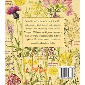 Wild Flowers of Britain: Month by Month