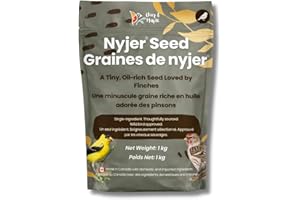 Chirp & Maple Nyjer Bird Seed – Premium No Mess Niger Thistle Seed for Finches & Songbirds | High Energy Wild Bird Food | Att
