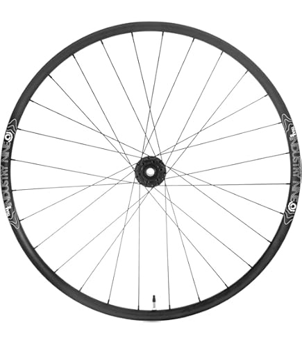 Amazon.com : Industry Nine- 1/1 - Enduro S Alloy Mountain Bike