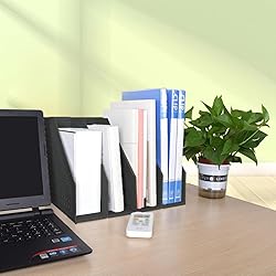 SAYEEC Collapsible Magazine File Holder with 4