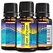 Balance Essential Oil Blend, 100% Pure, Best of Health, Aromatherapy, Natural, Undiluted, Organic essential oil, FULL 15ml - Even Steven by HopeWind Health
