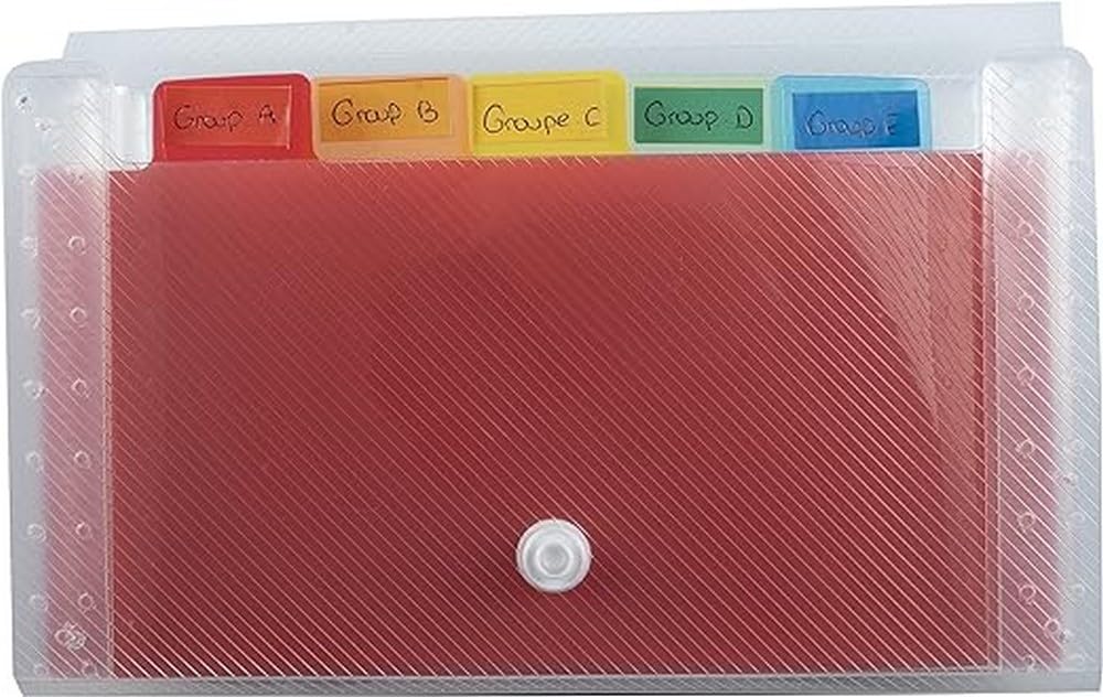 Exacompta - Ref 55498E - Crystal Multipart Expanding Case - 180 x 110mm in Size, Ideal for Sorting & Organising Receipts, 6 Tabbed Sections, Holds up to 100 Sheets