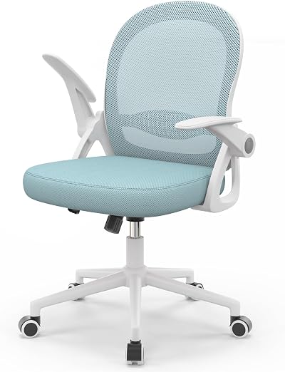 naspaluro Ergonomic Mesh Office Chair with Flip-Up Armrests Blue