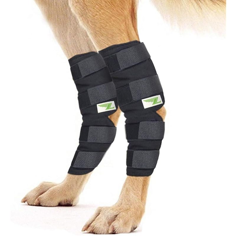 Best Dog Knee Brace for Torn ACL Reviews & Buying Guide iHomePet