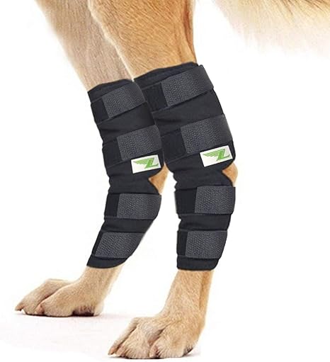 dog ankle support