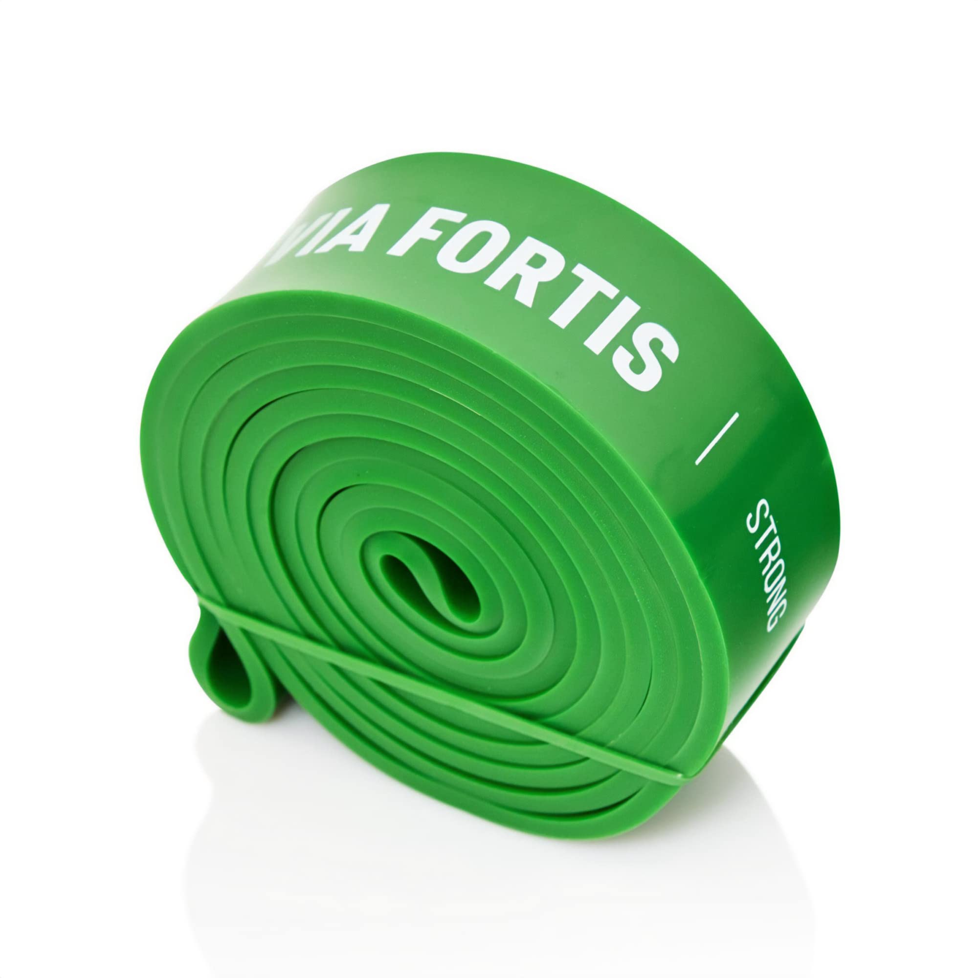 VIA FORTIS Resistance Bands | Fitness Bands for Full Body Workout, Pull Ups, Stretching, and Pilates | 5 Resistance Levels Available โ image 1