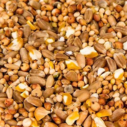 Leimüller Entenfutter Körner Premiumqualität 25 kg - Vogelfutter für Ente, Gänse, Laufente - Gänsefutter 100% gentechnikfrei - Entenstarter & Kükenfutter – Bild 3