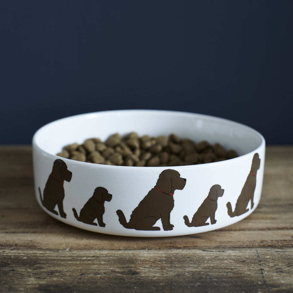 Sweet William Cockapoo/Labradoodle (Chocolate) Dog Bowl