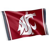 Desert Cactus WSU Washington State Cougars Flag - 3x5 Ft, Durable 100D Polyester, Outdoor/Indoor Banner - View #6