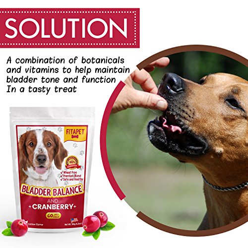 Fitapet Cranberry for Dogs Soft Chews Promotes Bladder Control