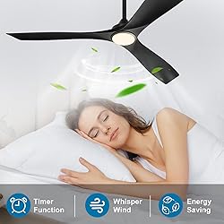 Depuley 60" Remote Ceiling Fan with Lights, Low