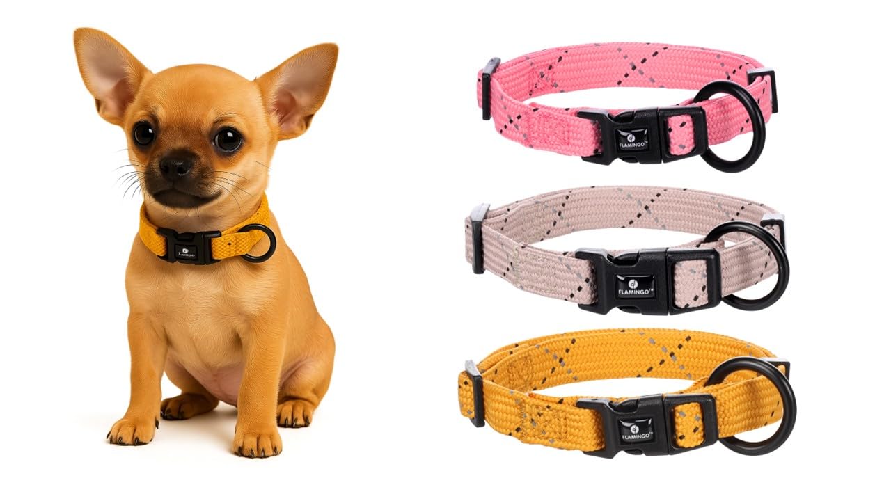 Dog Collar Puppy Dolly Ochre XXS 15-25cm 10mm