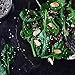 Food to Live Organic Hulled Sesame Seeds, 1 Pound – Whole Raw White Sesame Seeds, Non-GMO, Kosher, Vegan, Unroasted, Bulk. High in Iron, and Calcium. Perfect for Tahini Paste, Stir-fries, and Salads.