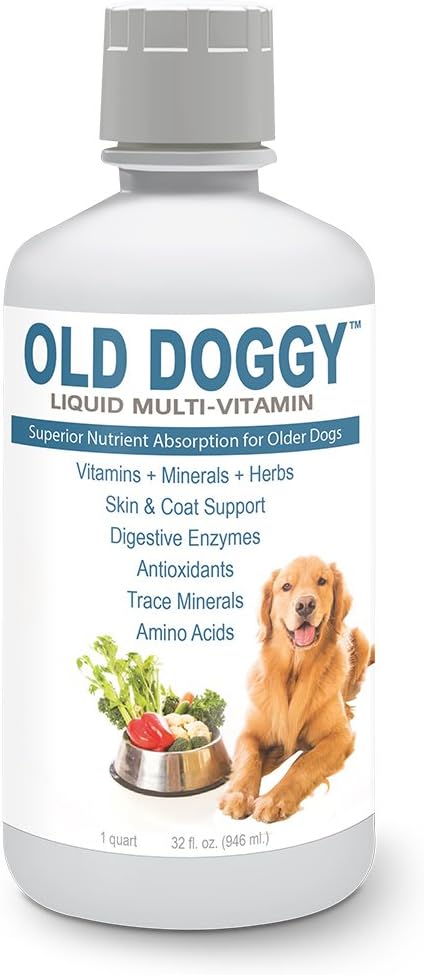 vitamins for old dogs