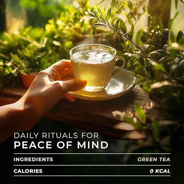 GYA TEA CO CLASSIC GREEN TEA POD (16 CT) – MILDLY CAFFEINATED TEA WITH MELLOW FLAVOR – KICKSTART THE DAY FOR CALMING & RELAXING