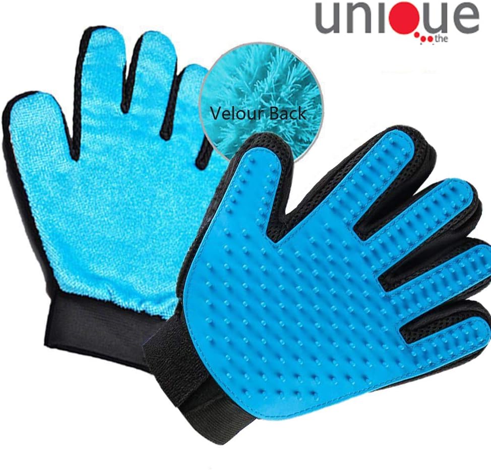 Best dog rubbing face on carpet