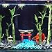3 Betta Bamboo Plant – Create attractive Zen Garden - Purifies water by absorbing Nitrate and Ammonia - Control algae by competing for nutrients - Extreme Hardy plant, survive in low light condition