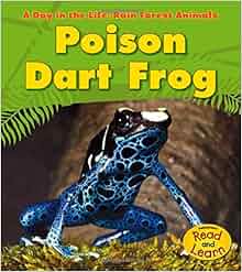 Amazon Com Poison Dart Frog A Day In The Life Rain Forest Animals 9781432941154 Anita