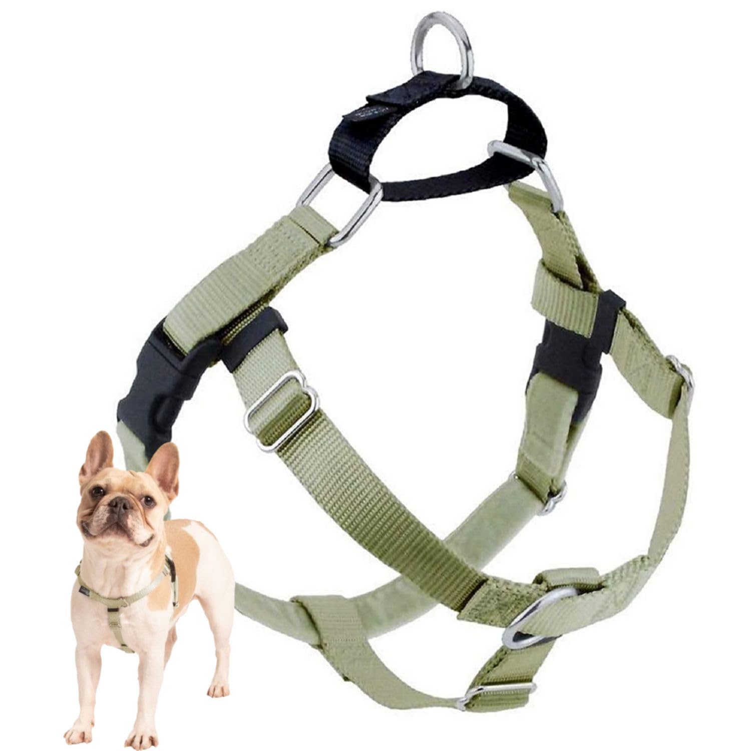 Photo 1 of 2 Hounds Design Freedom No Pull Dog Harness, Adjustable Harness, Easy Walking & Comfortable Control, Fits Small, Medium & Large Dogs, Solid Colors, Made in USA, 1" MD, Tan